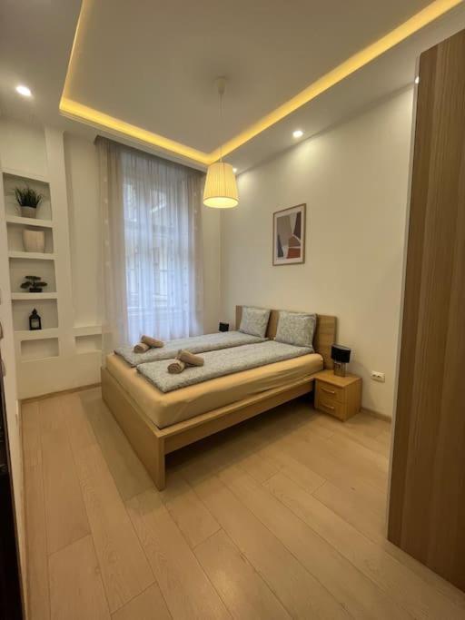 Szechenyi Renovated 2Br At Danube River Budapest Exterior foto